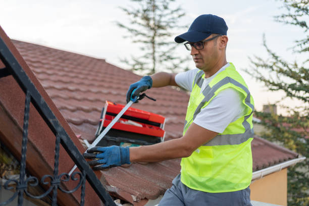 Best Basement Insulation  in USA